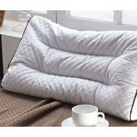 堂皇家纺/TEVEL 全棉颈椎保健单人枕头 纯荞麦壳枕芯40*60