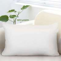 堂皇家纺/TEVEL 全棉面料超弹枕头 美梦中空枕芯48*75