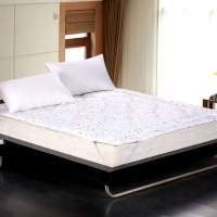 乐加lehome杜邦Tyvek健康加厚床垫150*195