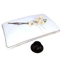 逸轩立体羽丝绒枕