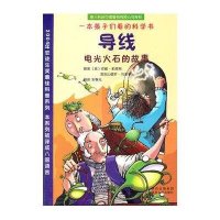 导线-电光火石的故事