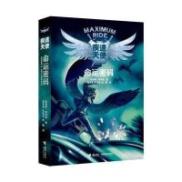 命运密码-疾速天使