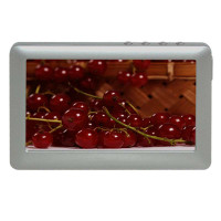 道勤数码播放器RK5005(银色)(4G)