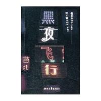 黑夜飞行