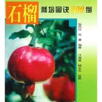 实用石榴栽培图诀200例