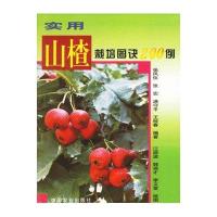 实用山楂栽培图诀200例