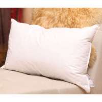 聚品gooods白鹅绒片枕74*48cm