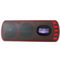 朗琴韵动系列X100Plus豪华版(烈焰红)