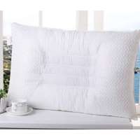 博洋家纺决明子健康助眠枕48*74cm