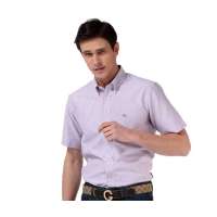 Baneberry 男装休闲撞色细条纹纯棉短袖衬衫11004(紫条39)