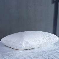 埃迪蒙托044七孔立体防螨枕低