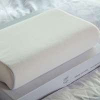 埃迪蒙托时尚桔子OR50*30*10*7舒健记忆枕