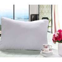 棉朵家纺芦荟纤柔枕