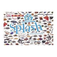 鱼:鲨鱼和其他水中居民