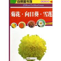 菊花.向日葵.雪莲