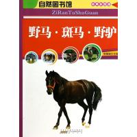 自然图书馆 野马·斑马·野驴