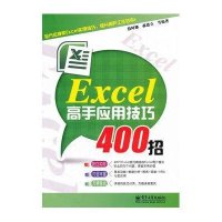 Excel高手应用技巧400招