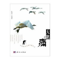 天鹅之痛：中国野生鸟类行摄手记