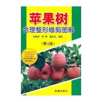 苹果树合理整形修剪图解