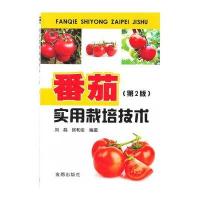 番茄实用栽培技术