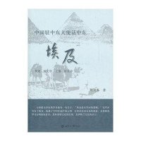 埃及/中国驻中东大使话中东