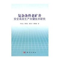 复杂条件老矿井安全高效生产关键技术研究