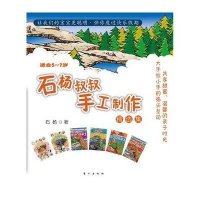 石杨叔叔手工制作精选集(套装共6册)