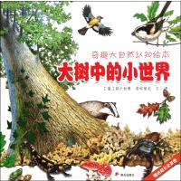 大树中的小世界