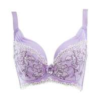 体会奢华网纱刺绣蕾丝无痕软绵薄模杯大杯文胸紫色(85D)BQ0491
