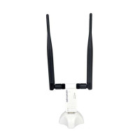 磊科300M无线USB网卡 NW368