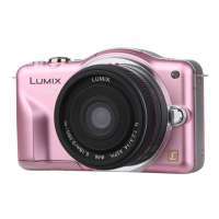 松下单反相机WEA-GF3KGK-P