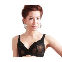仙子宜岱凤舞飞扬性感梦幻网纱健康聚拢文胸黑色(90C)1110