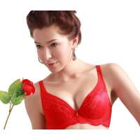 仙子宜岱凤舞飞扬性感梦幻网纱健康聚拢文胸红色(80C)1110