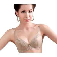 仙子宜岱凤舞飞扬性感梦幻网纱健康聚拢文胸杏色(85C)1110