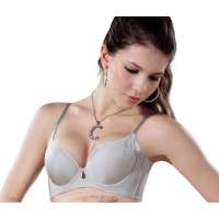 仙子宜岱星月童话华丽烫钻3/4收副乳定型集中杯灰白(85B)1069