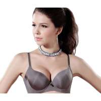 仙子宜岱星月童话华丽烫钻3/4收副乳定型集中杯浅啡(70B)1069