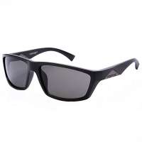 海豚(PORPOISE) PO2232-1 时尚经典太阳眼镜(灰色镜片黑色镜架)