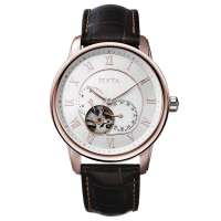 飞亚达摄影师系列男士白色机械手表GA8270.GWR