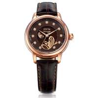飞亚达摄影师系列女士咖啡色机械手表LA8256.GSR