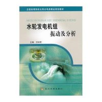 水轮发电机组振动及分析