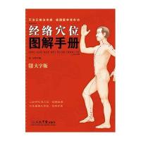经络穴位图解手册