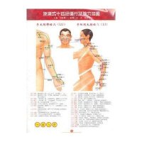 便携式十四经循行及腧穴挂图