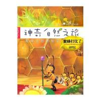 神奇自然之旅.蜜蜂打仗了