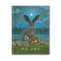 约克·史坦纳：再见，小兔子