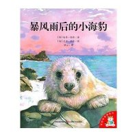暴风雨后的小海豹