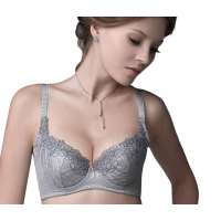 欧迪芬2012春季新款金属纱丝3/4罩剪接刺绣文胸WA-轻透蓝(B85)OA13226
