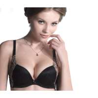 欧迪芬2012春季新款金属纱丝刺绣文胸BK-黑色(B75)OA23225