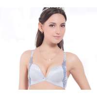 欧迪芬2012春季新款金属纱丝刺绣文胸WA-轻透蓝(C80)OA23225