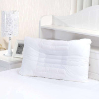 圣宝莱全棉决明子木棉功能型枕芯48*74cm