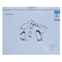 容声冷柜BD/BC-205C/J